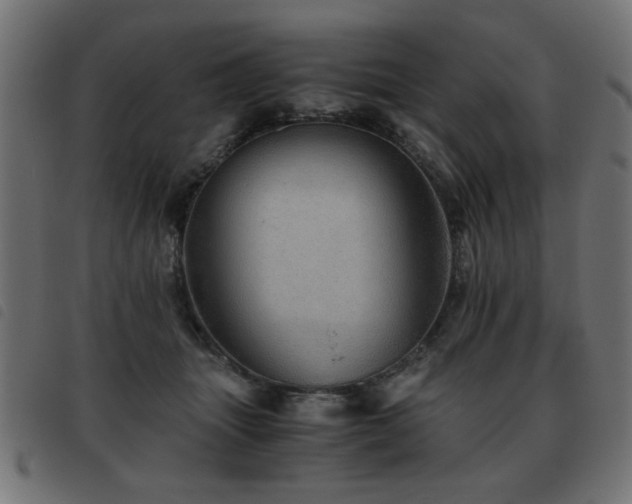X0000093440463200710121337