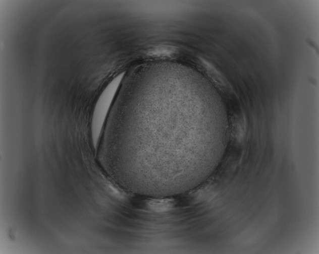 X0000093440465200710121337