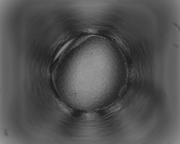X0000093440466200710121337