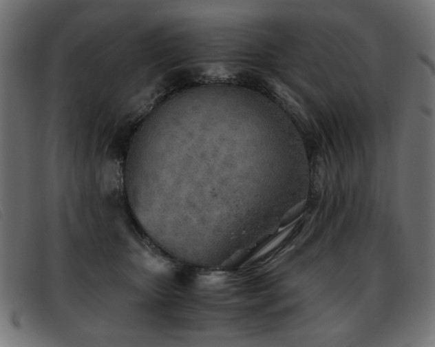 X0000093440467200710121337