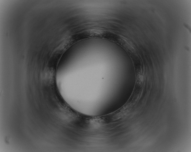 X0000093440468200710121337