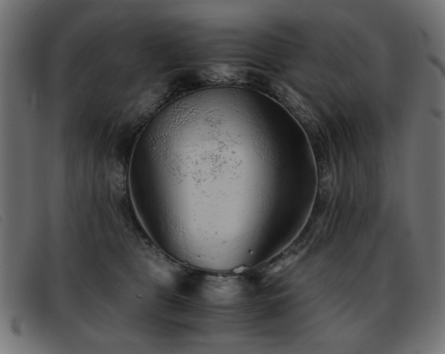 X0000093440469200710121337