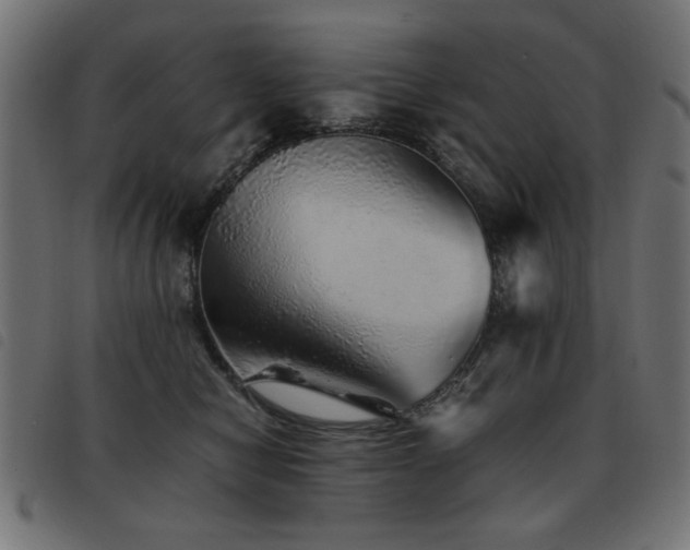X0000093440470200710121337