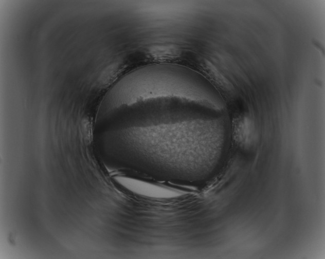 X0000093440471200710121337