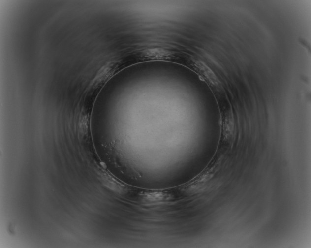 X0000093440473200710121337
