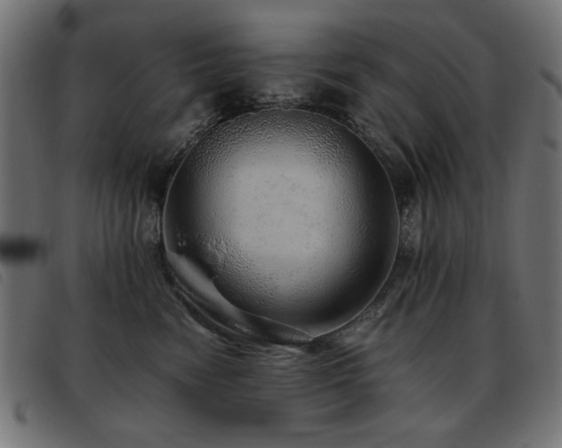 X0000093440474200710121337