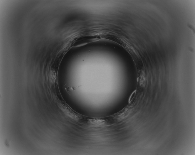 X0000093440476200710121337
