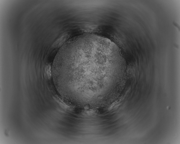 X0000093440479200710121337