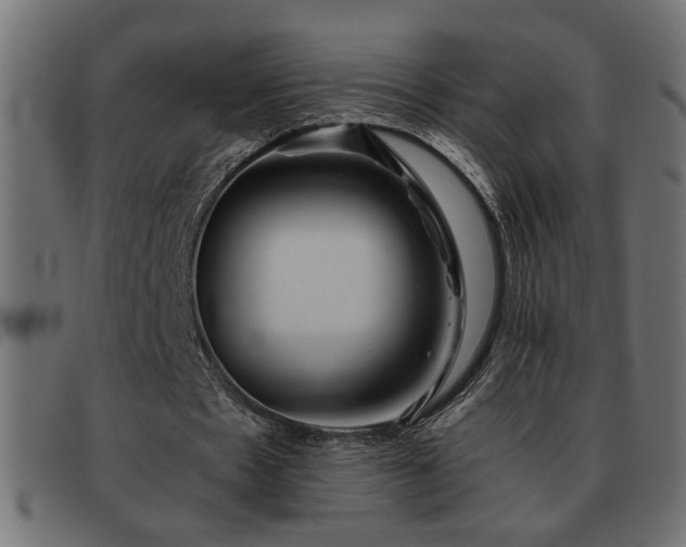 X0000093440481200710121336