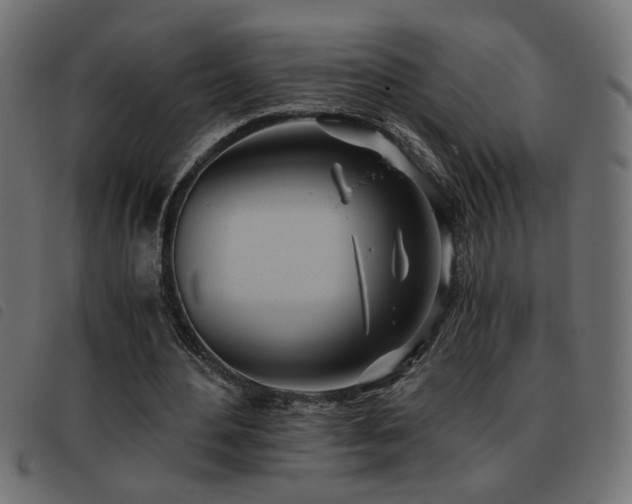 X0000093440484200710121336
