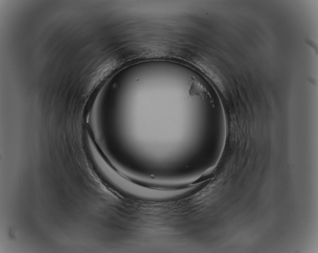 X0000093440485200710121336