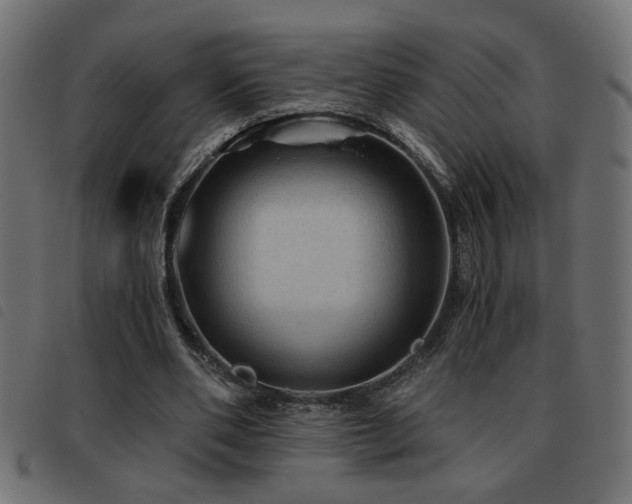 X0000093440486200710121336