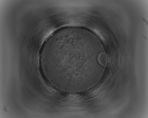 X0000093440487200710121336
