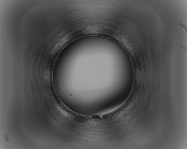 X0000093440489200710121336