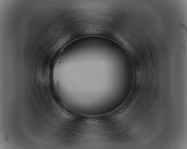 X0000093440490200710121336