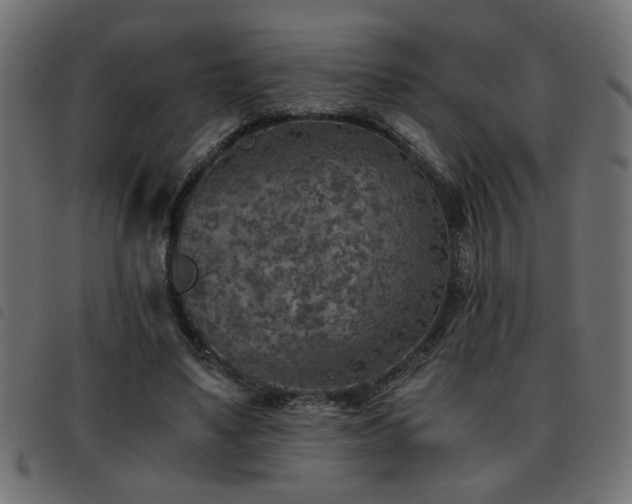 X0000093440491200710121336