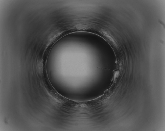X0000093440492200710121336