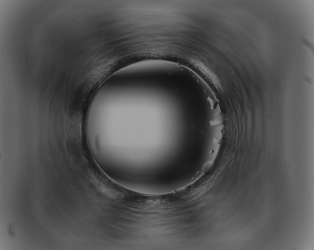 X0000093440493200710121336