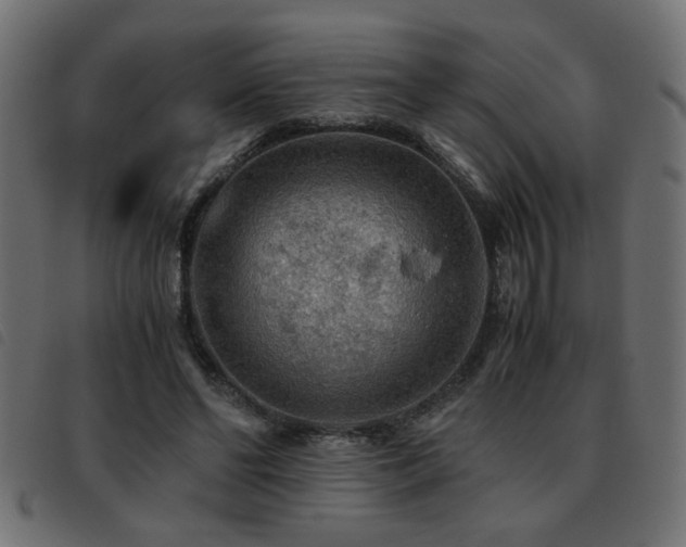 X0000093440494200710121336