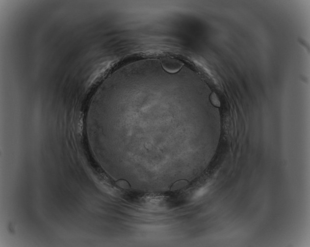 X0000093440495200710121336