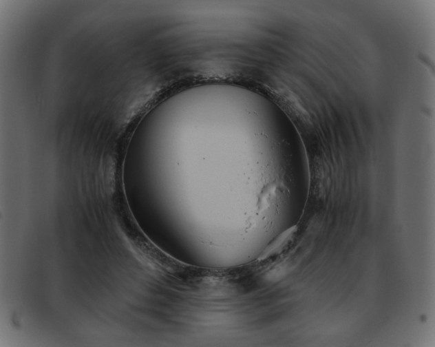 X0000093440496200710121336