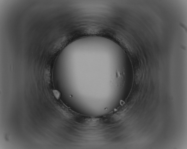 X0000093440497200710121336
