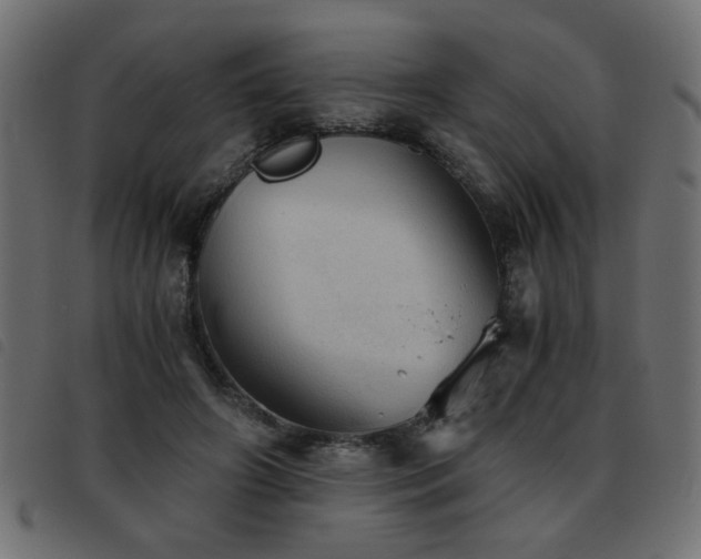 X0000093440498200710121336