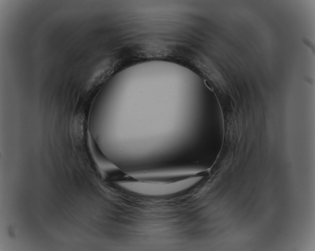 X0000093440501200710121336