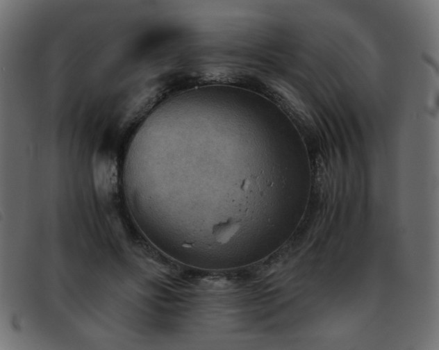 X0000093440502200710121336