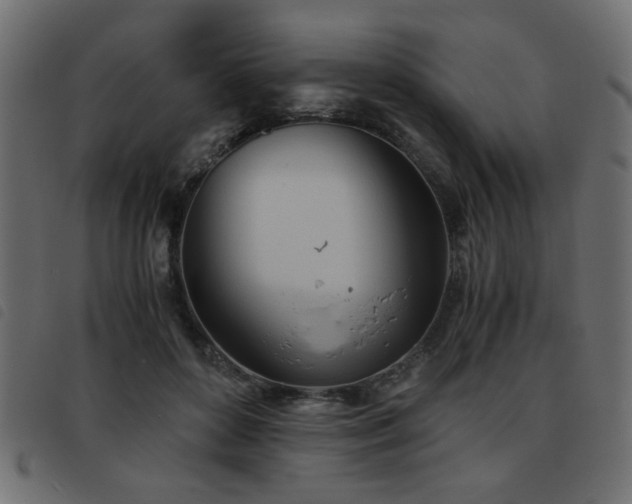 X0000093440504200710121336