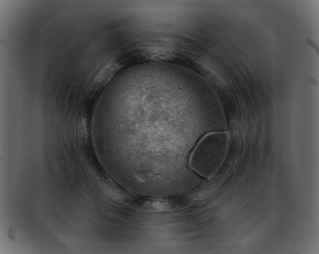 X0000093440506200710121336