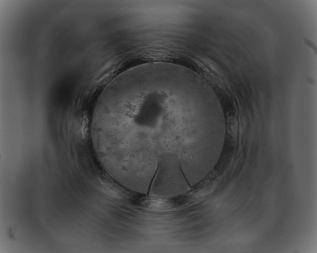 X0000093440507200710121336