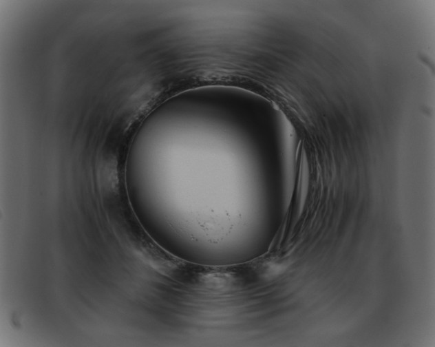 X0000093440508200710121336