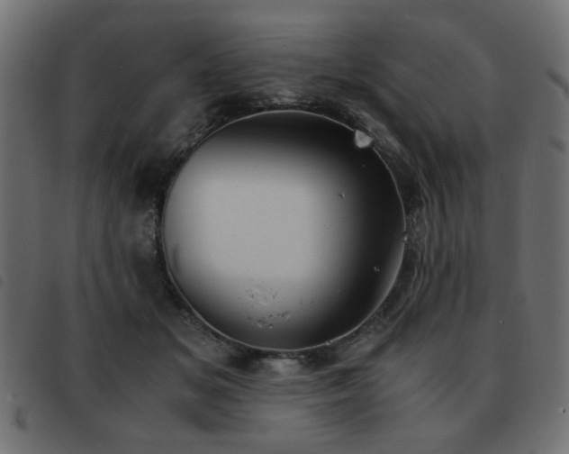 X0000093440509200710121336