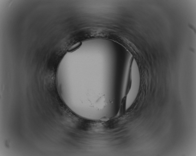 X0000093440513200710121336