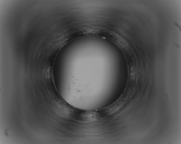 X0000093440514200710121336