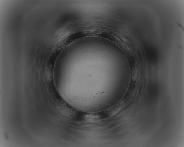 X0000093440515200710121336