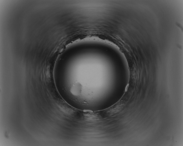 X0000093440516200710121336
