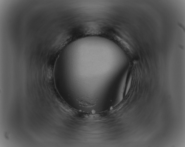 X0000093440517200710121336
