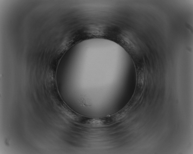 X0000093440518200710121336