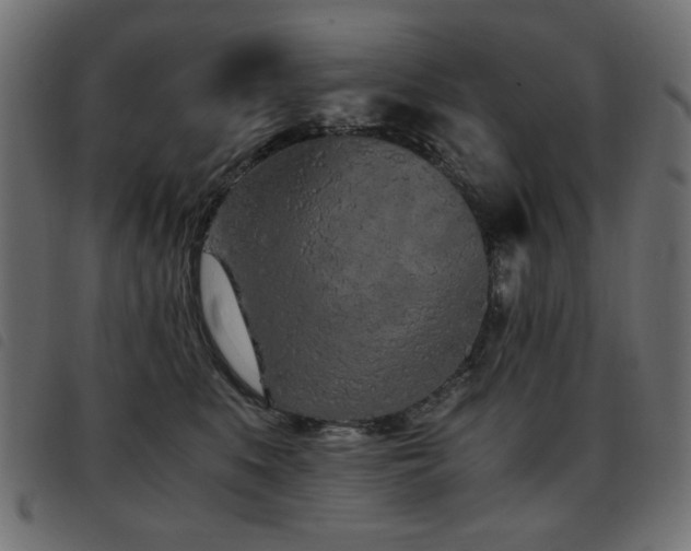 X0000093440519200710121336