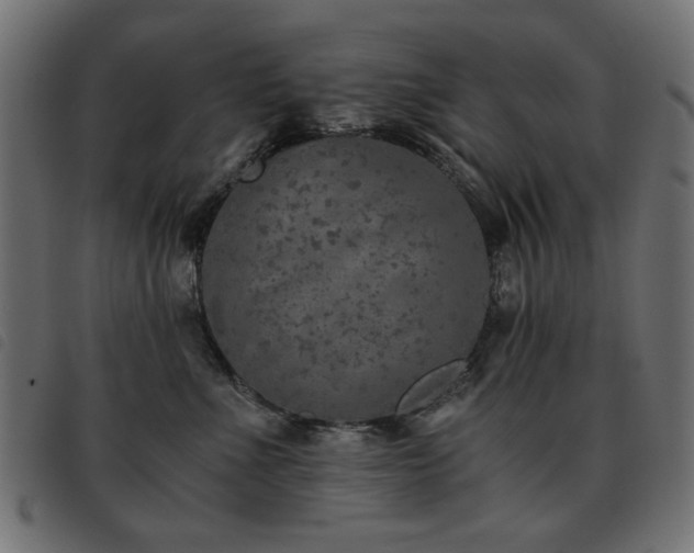 X0000093440523200710121336