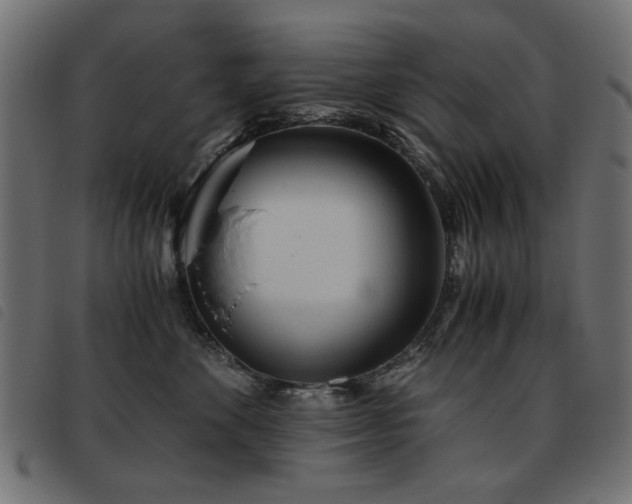 X0000093440524200710121336
