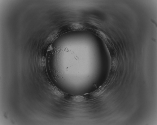 X0000093440525200710121336