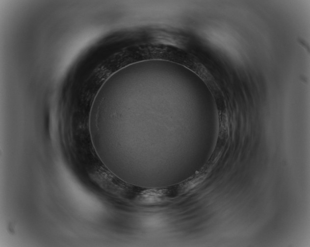 X0000093440526200710121335