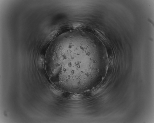 X0000093440527200710121335
