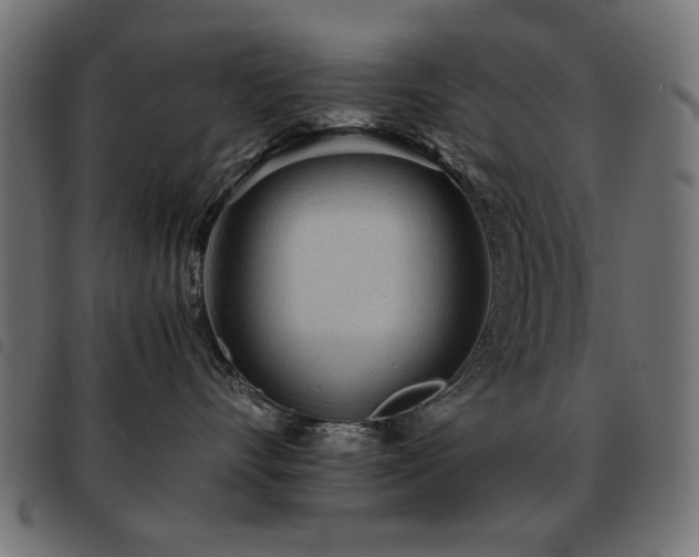 X0000093440528200710121335