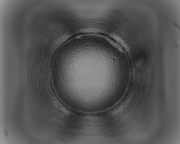 X0000093440529200710121335