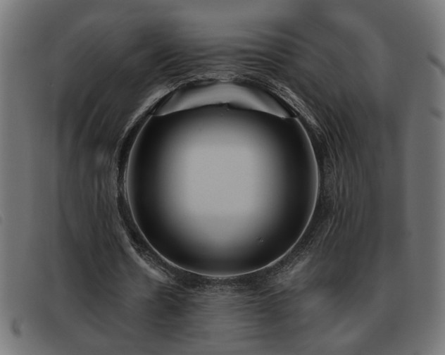 X0000093440530200710121335