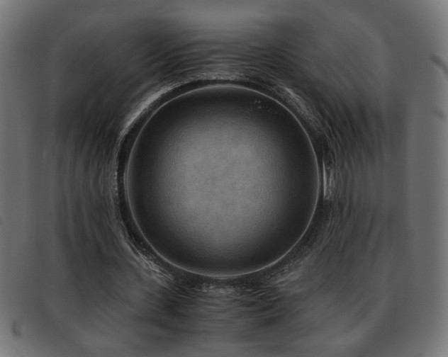 X0000093440531200710121335